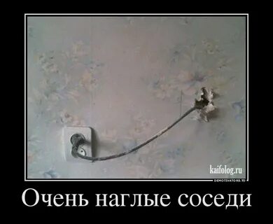 Суки прикол
