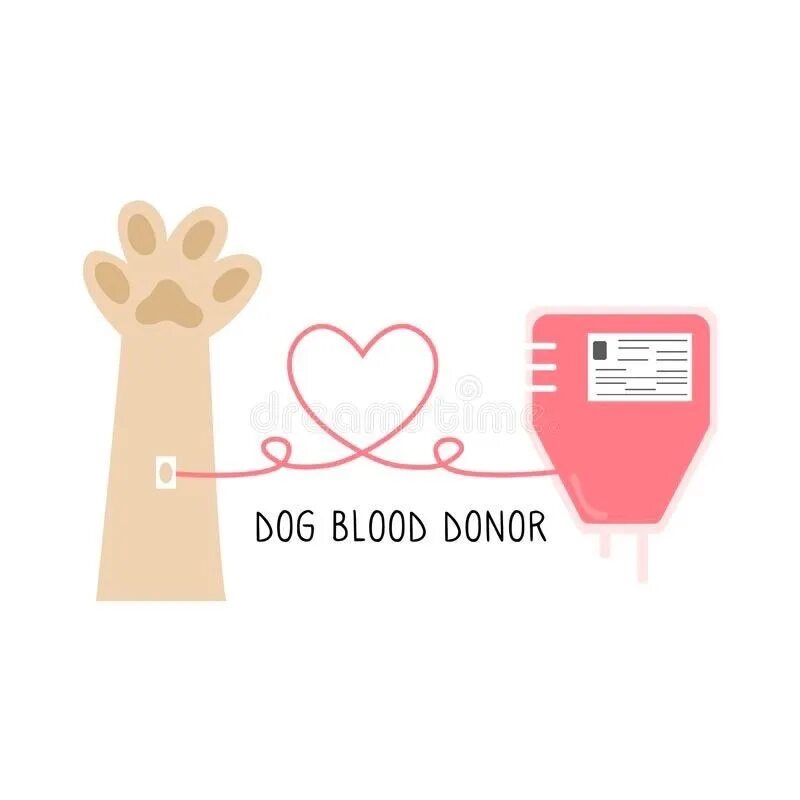 Нужен донор крови для собаки.