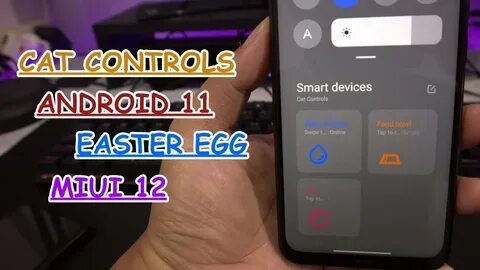 Cat controls что это