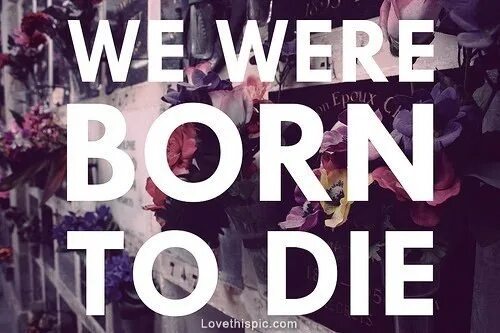 We were born to die. Lana del Rey we were born to die. Born to die текст. Born to die красивая надпись. Born to be students