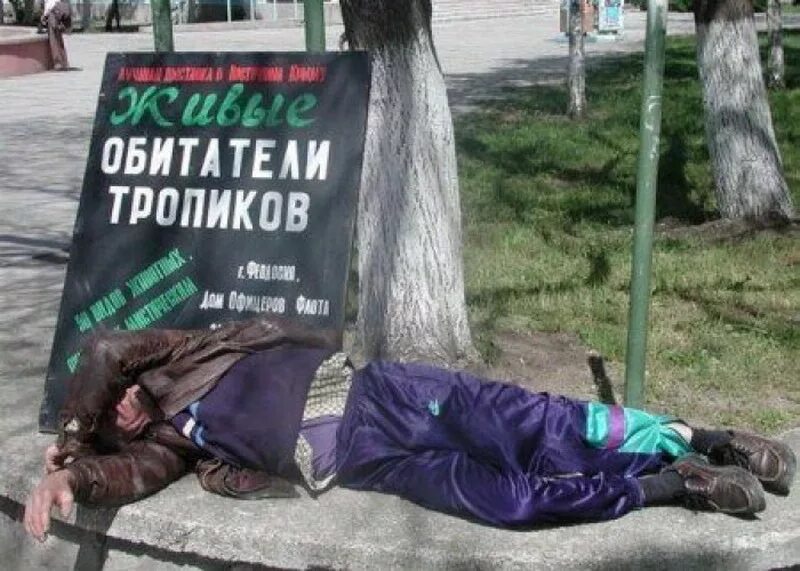 Картинка с надписью алкаш. Картинка с надписью алкаш. Про алкашей высказывания. Картинка с надписью алкаш. Картинка с надписью алкаш.