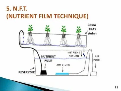 Что такое nft простым языком