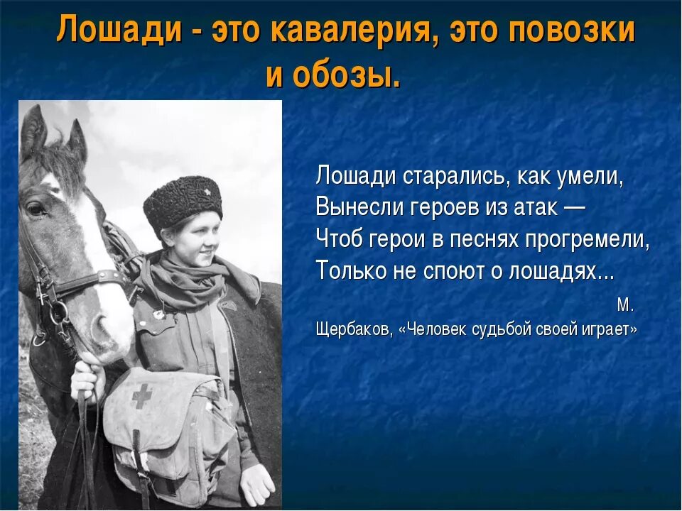 Собаки герои Великой Отечественной войны 1941-1945. Лошади в Великой Отечественной войне. Какие животные участвовали на войне. Лошади герои Великой Отечественной войны.