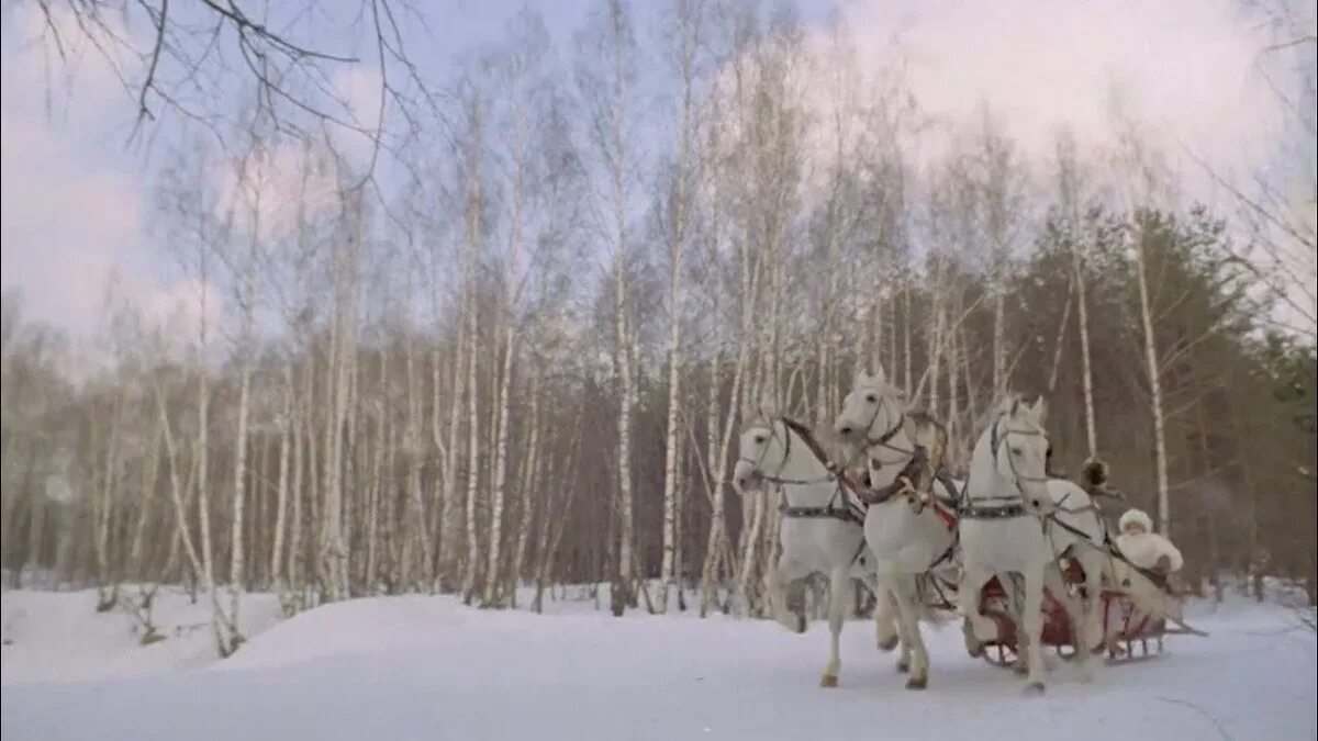 3 белых коня быстрая. Чародеи 1982. 3 белых коня чародеи чародеи.