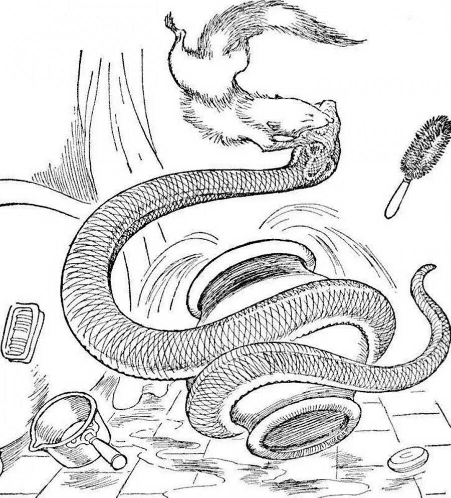 Киплинг рикки тикки тави раскраска. Кобра из рикки тикки тави. Раскраски к сказке рики тики тави. Мангуст рикки тикки тави. Рикки тикки тави раскраска.