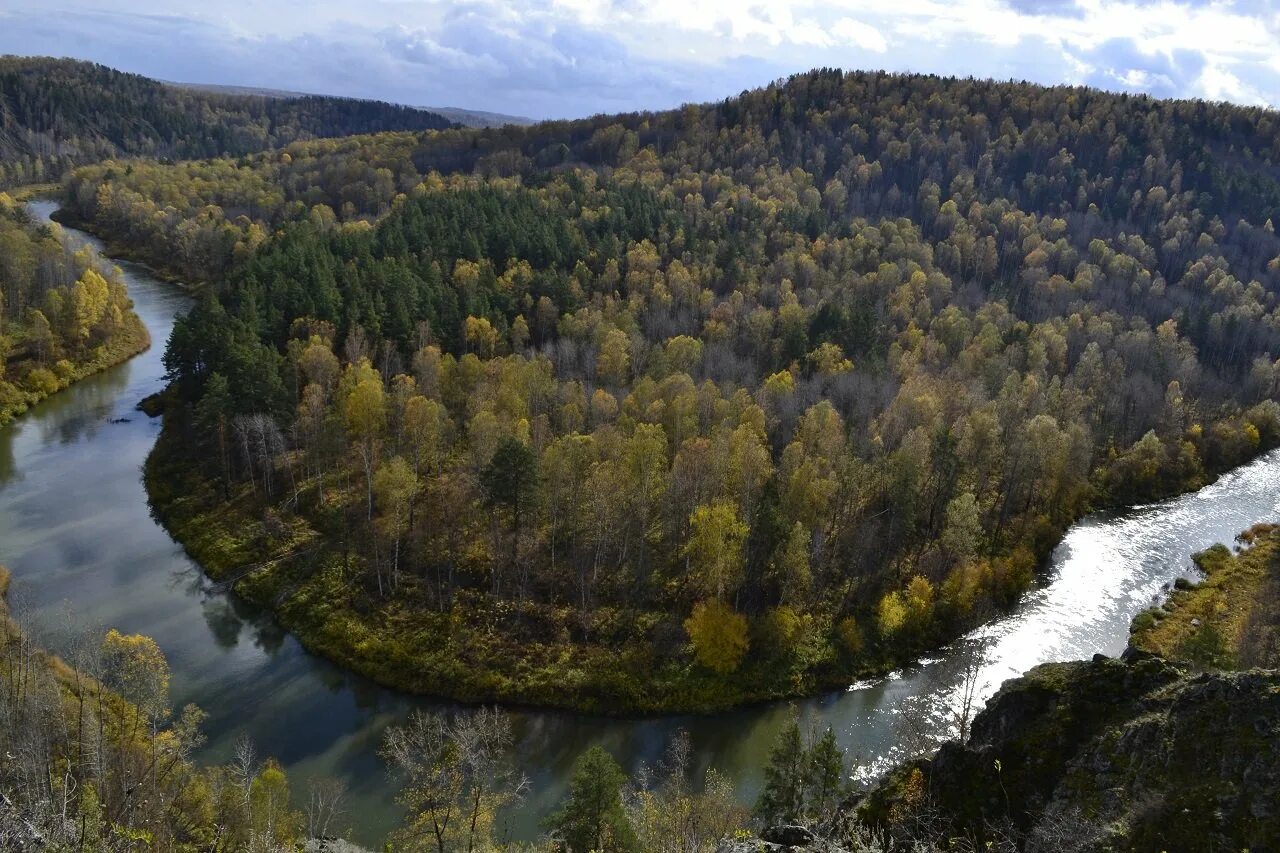Граница алтайского края и кемеровской области. Черневая тайга алтайского края. Кемеровская область алтайский край. Голубые скалы кемеровская область. Тайга салаирский кряж.
