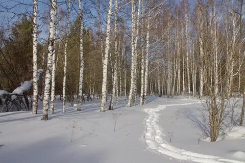Погода на март томск