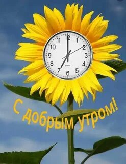 91 6 д доброе