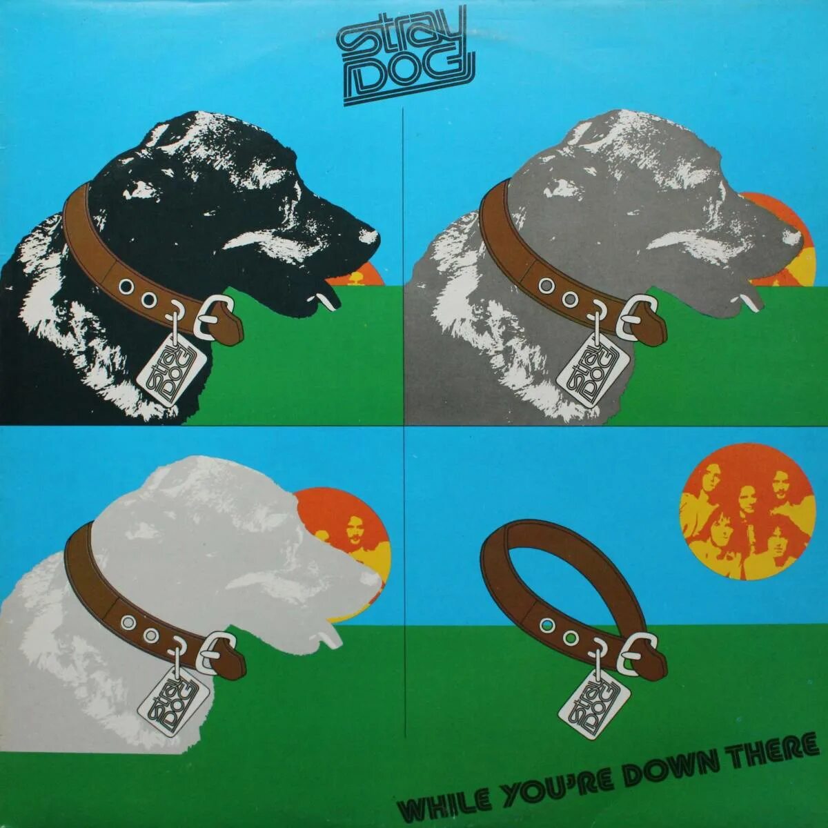 Re down. Stray Dog 1974 while you're down there. Stray Dogs группа. You're down. Dog holding Vinyl.