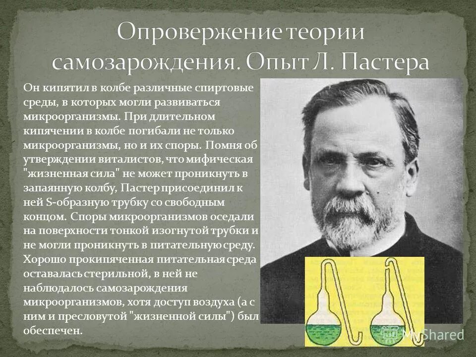 суть теории самозарождения заключается