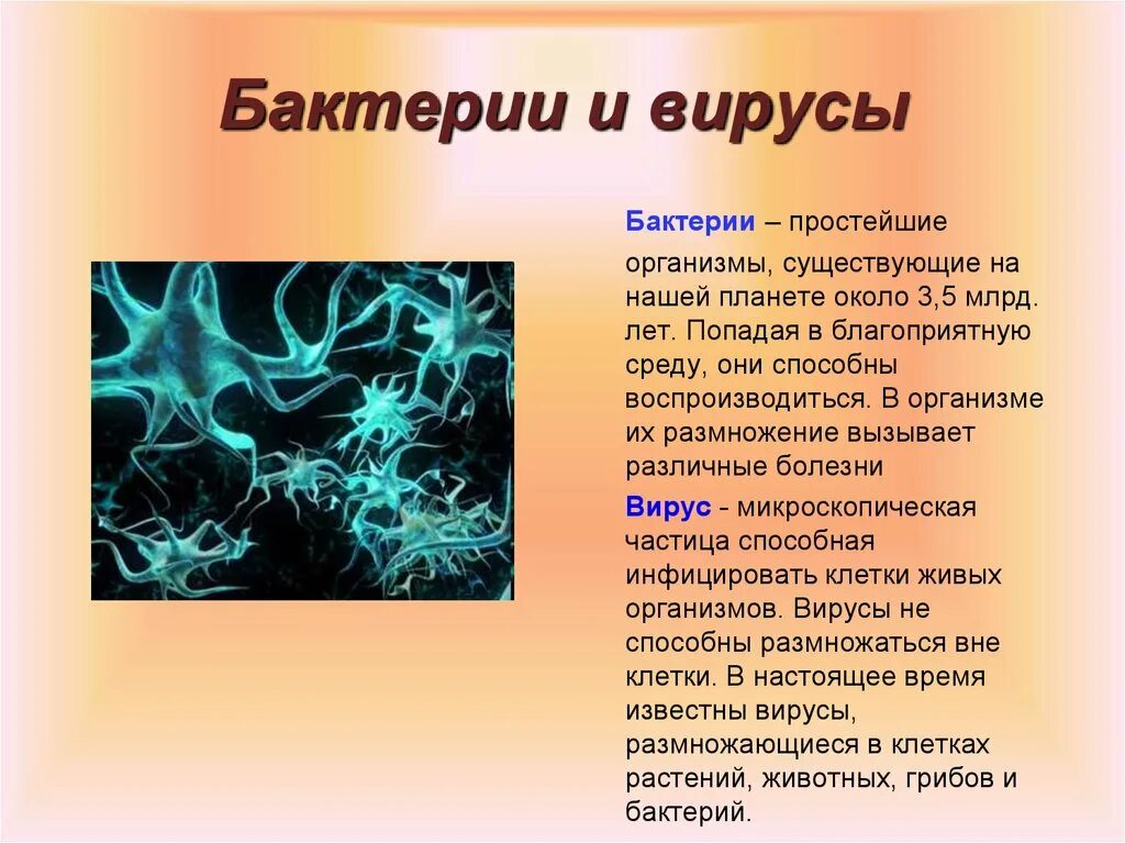 Тема бактерии и вирусы 5 класс