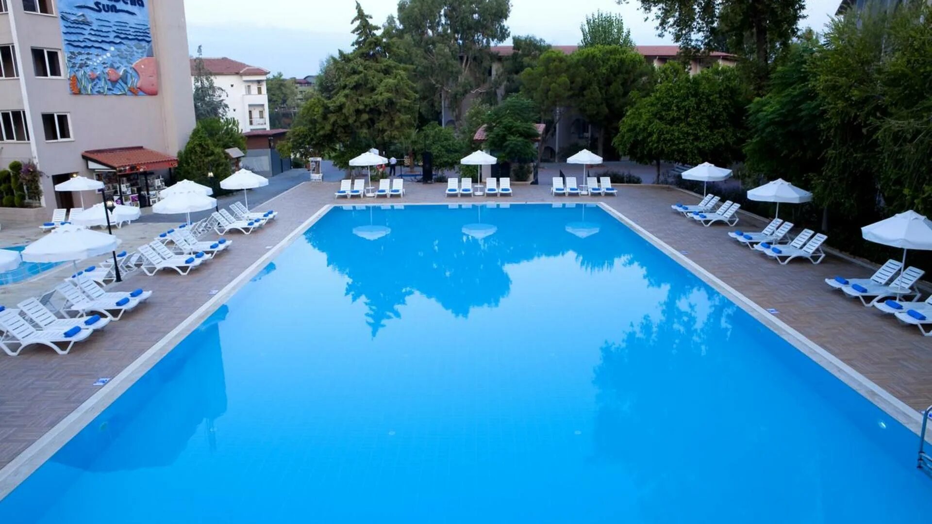 Отель в турции armas bella sun. Отель турции armas bella sun 5. Армас отель турция сиде. Отель турция bella sun. Армас белла сан сиде.