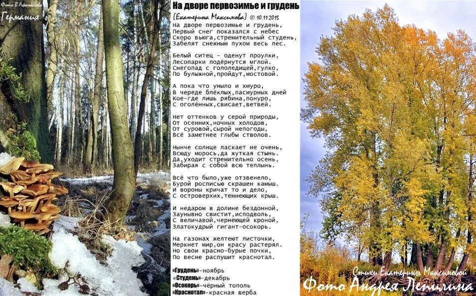 Стихотворение про снежинку. Бальмонт к. Стихотворение бальмонта зима. Стихотворение бальмонта зима. Стихотворение бальмонта зима.