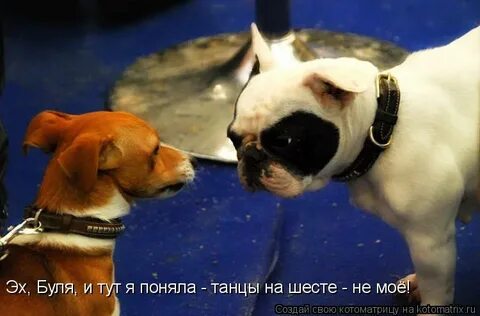 Слышь умная