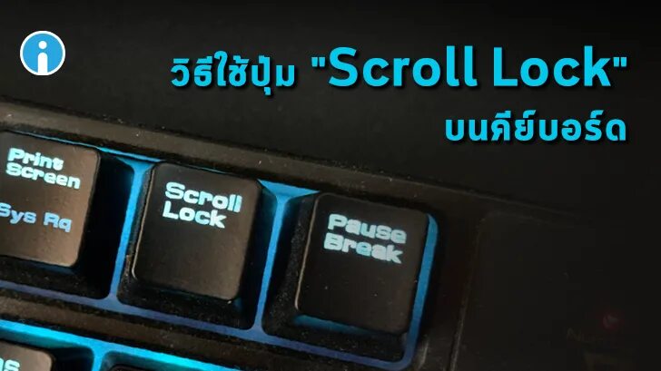 Что делает scroll. Scroll lock lenovo. scroll lock на ноутбуке asus. scroll lock на ноутбуке lenovo. scroll lock кнопки ноутбук lenovo.