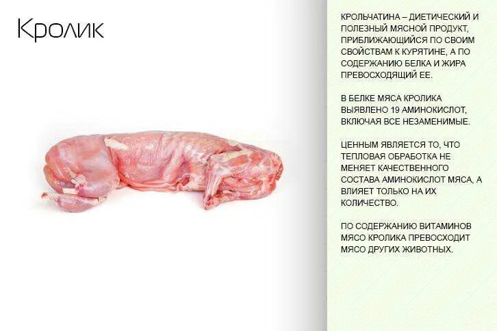 Полезные качества мяса крольчатина.