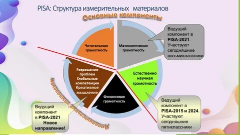 Функциональная грамотность в 2024 2025 году