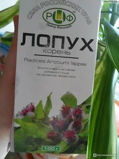 Корень лопуха для женщин