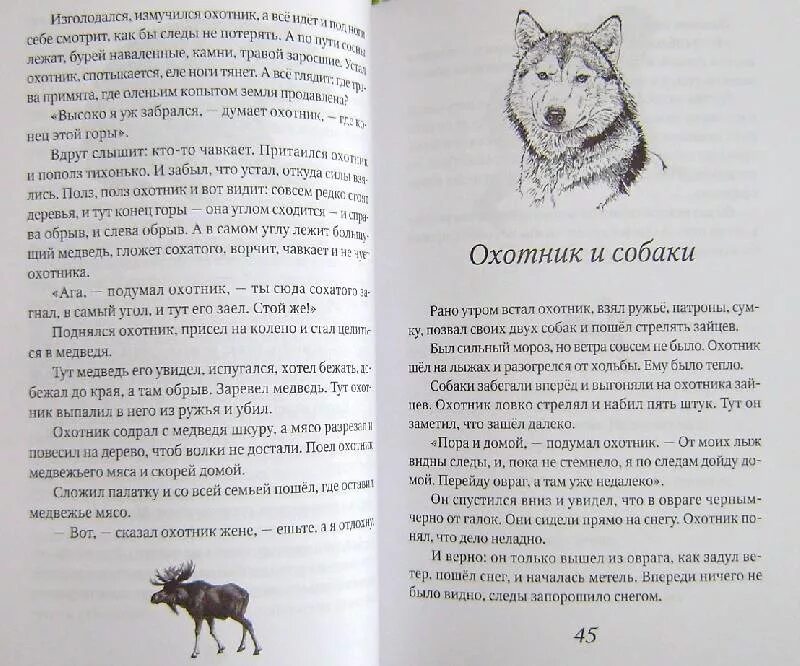 Житков рассказ охотник и собаки. Охотник и собаки Житков иллюстрации. Собака и охотник сказка. Читать рассказы охотников