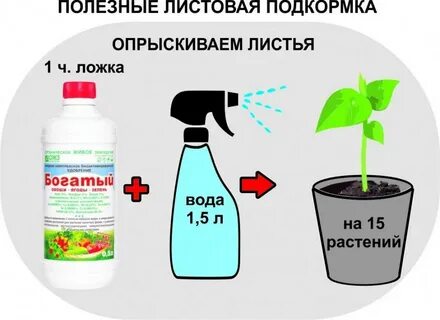 Внекорневая подкормка