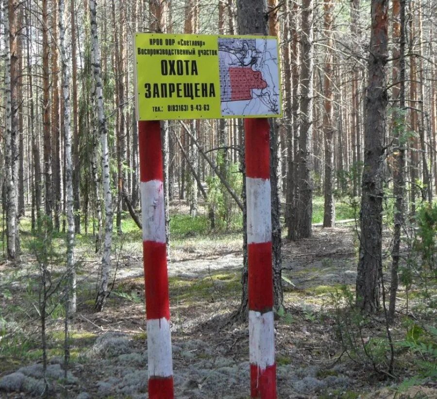 Зона охраны охотничьих ресурсов