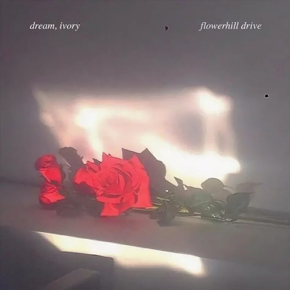 Acid dream ivory перевод. Люкс дрим плаза грэй. Dream ivory dream ivory tabs. Dream ivory. Dream ivory.