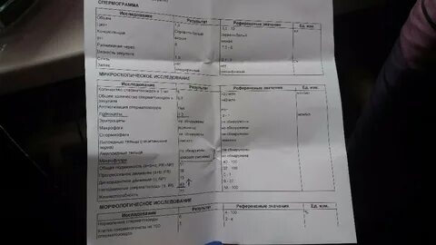 Спермограмма новгород
