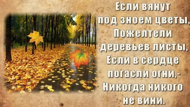 Некрасова "железная дорога". Н. Мы надрывались под зноем под холодом с вечно согнутой спиной. Мы надрывались под зноем под холодом. Никогда не вини себя.