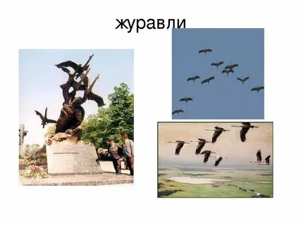 Строки из произведения гамзатова журавли расположены неверно