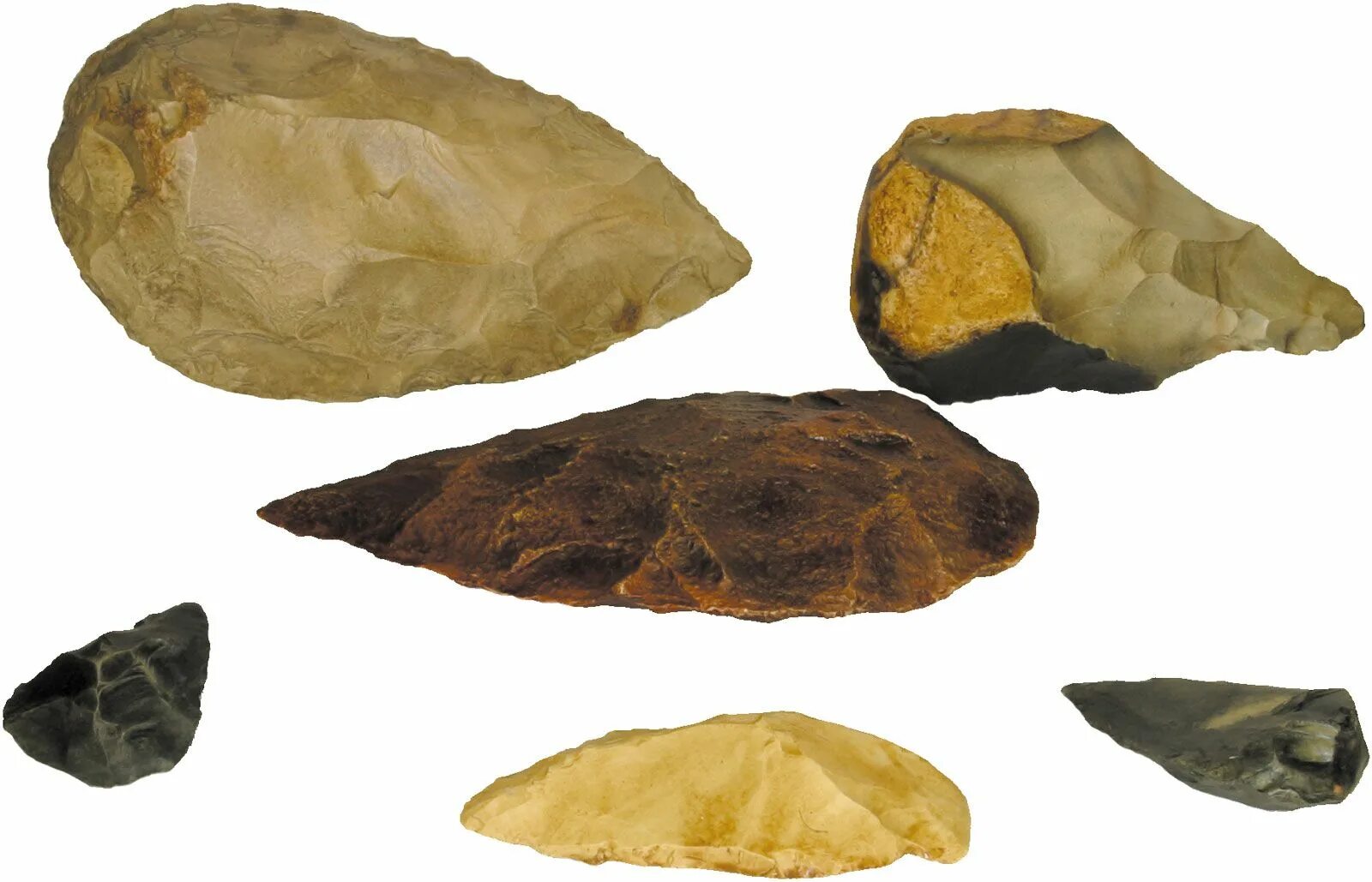 Stone tool. Homo habilis орудия. Человек прямоходящий орудия труда. Хомо хабилис орудия труда. Каменные орудия древних людей.