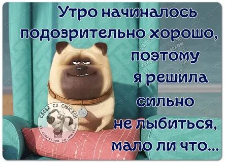 Доброе утро не бойся