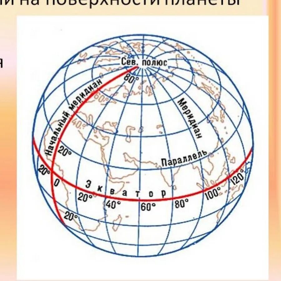 Параллели меридианы градусная сеть широта долгота. Градусная сеть на глобусе. Карта с градусной сеткой. Глобус с градусной сеткой.