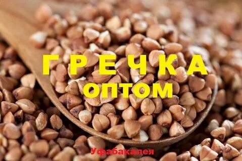 Гречка оптом