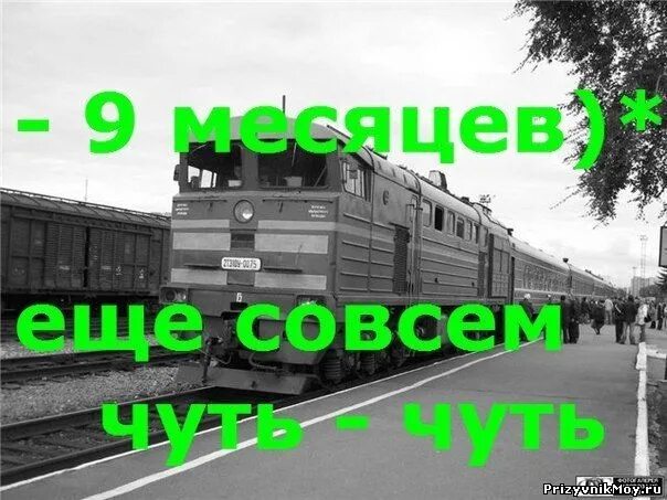 четверть службы. прошла четверть службы в армии. 3 месяца службы позади. 9 месяцев службы. четверть службы это сколько дней.