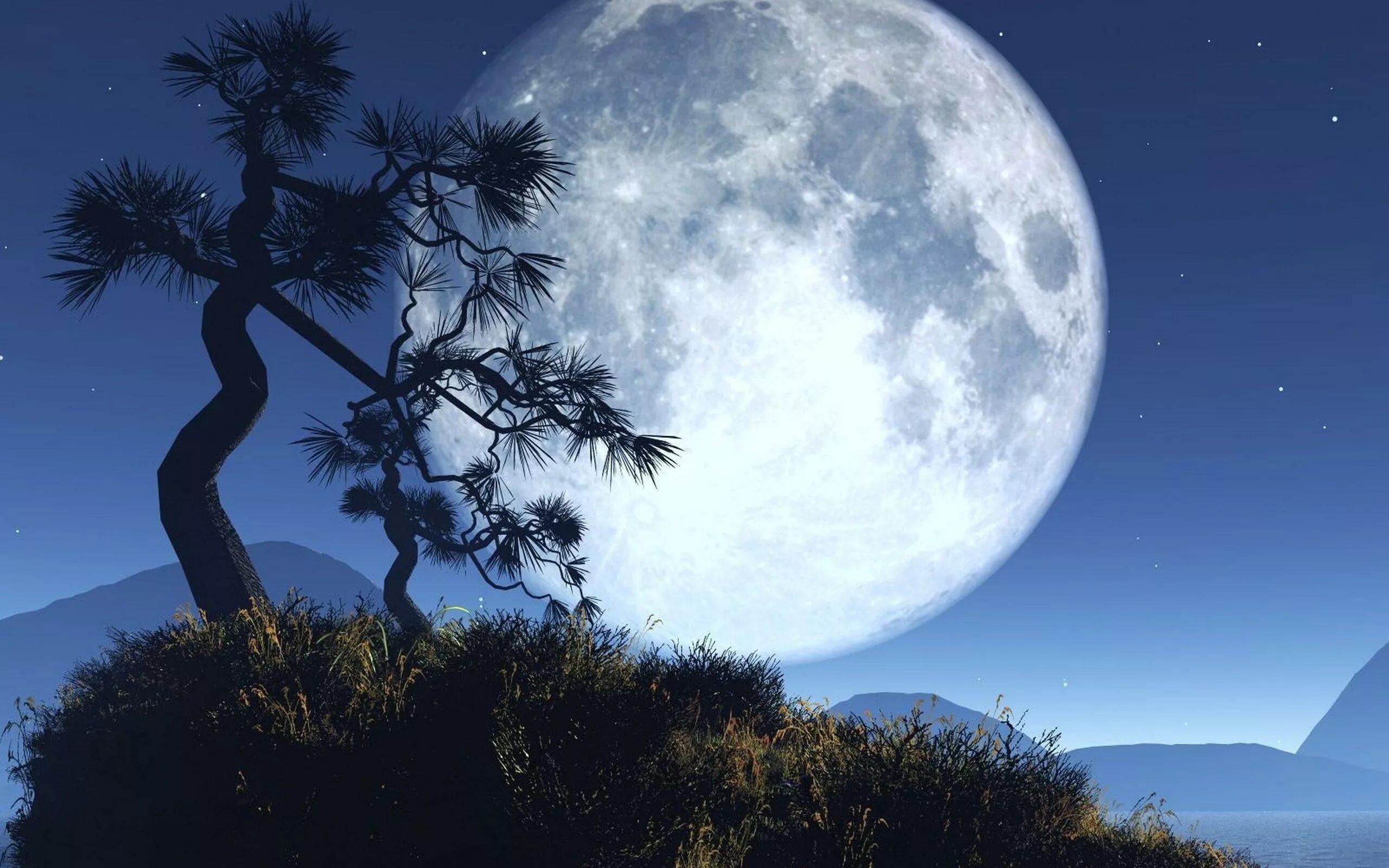 Luna net