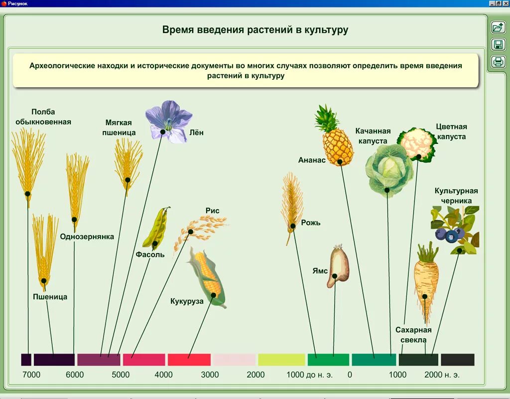 электронное приложение биология. электронное приложение к учебнику биология. умк «биология – сферы». электронное приложение биология. биология электронный учебник.