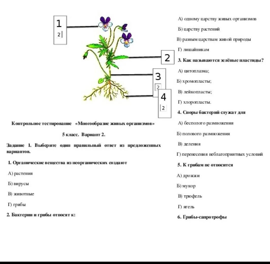 Тест по биологии шестого класса. Контрольная по биологии. Строение и многообразие организмов. Контрольная работа по биологии 1 класс. Тест по растениям.