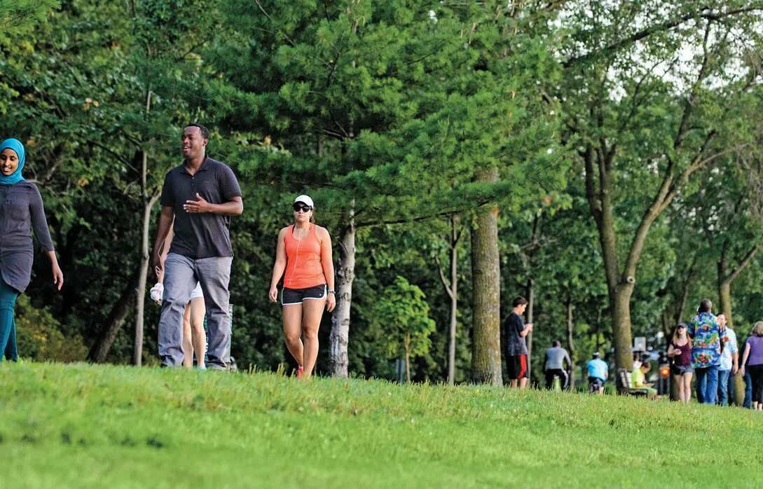 Idiom of the day. Прекрасный зеленый парк. Тематический парк сверху. Гайд-парк (hyde park), лондон. Лето парк.