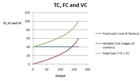 Fixed and variable costs