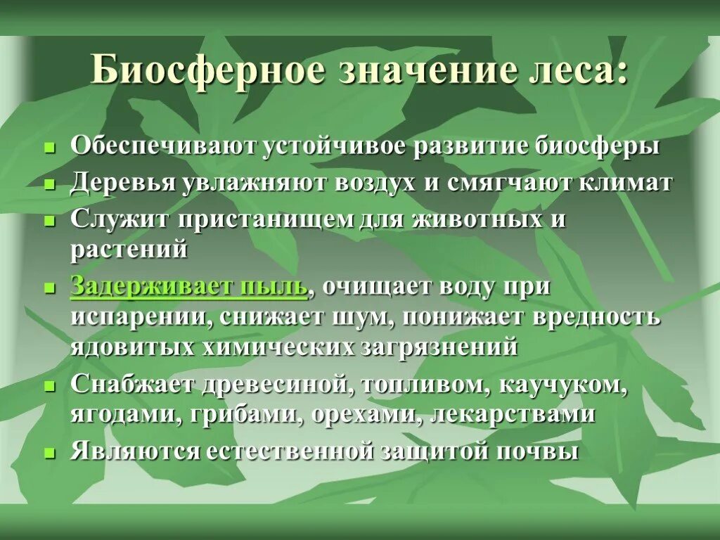 Окружающее значить. Биосферное значение лесов. Охрана леса экология. Важность сохранения лесов. Значение леса для биосферы.