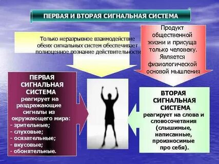 2 человек является