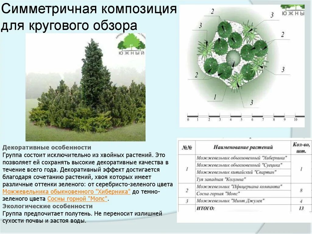 Хвойные схема. Древесно кустарниковая композиция кругового обзора. Ландшафтная композиция кругового обзора. Композиция из хвойных кругового обзора. Композиция из деревьев и кустарников.