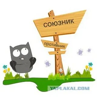 Союзник помощь