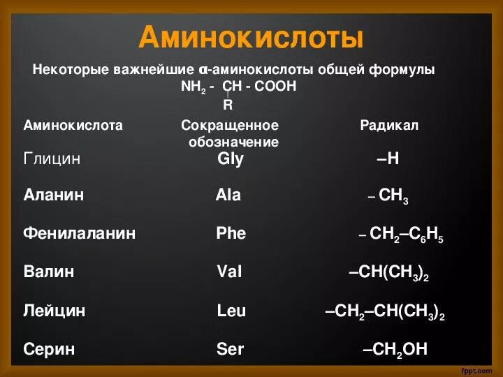 Амины общая формула класса. Аминокислоты общая формула химия. общая формула аминокислот. аминокислоты формулы. радикалы аминокислот.