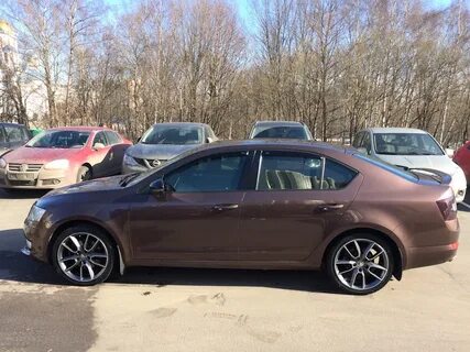 Brown 18