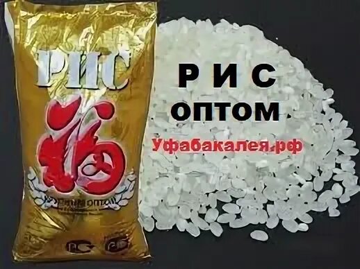 Рис аса