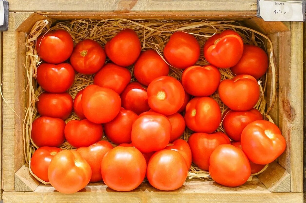 Хранение помидоров в домашних условиях. Томат Лонг кипер. Семена томат Лонг кипер. Помидоры в ящике. Хранение томатов.