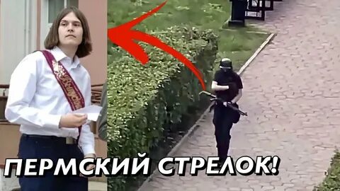 Почему кустики напали на алису