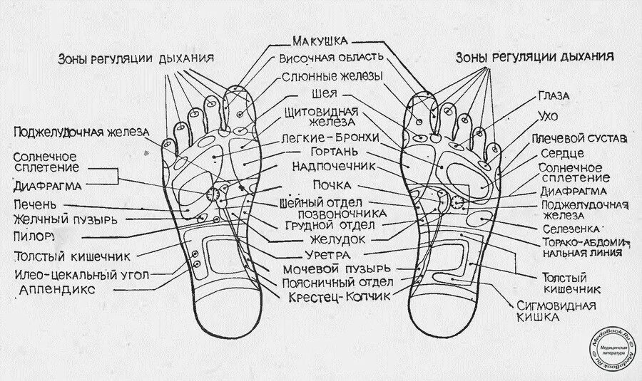 Точки на подошве ног. Рефлексогенные точки на подошве стопы. Акупунктурные точки стопы схема. Биологически активные точки на стопе. Акупунктурные точки на ступнях ног схема.
