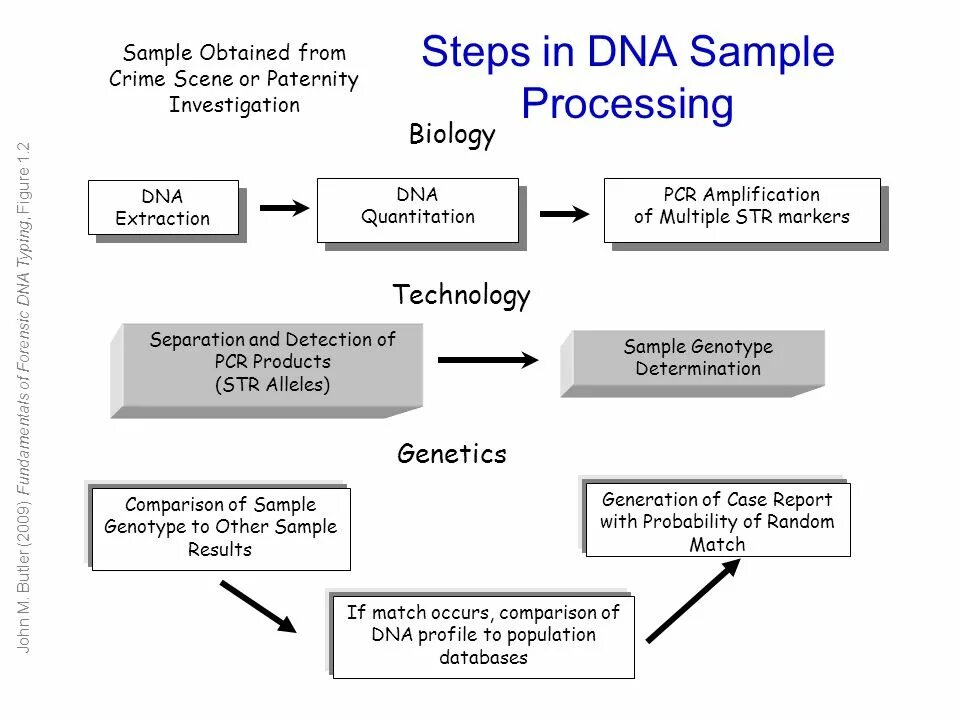 Sample processing. Sample processing